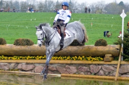 radolfzell-2013_cic1-058-jpg