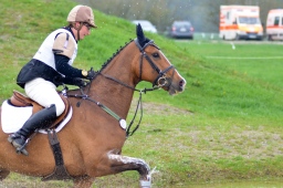 radolfzell-2013_cic1-061-jpg