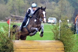 radolfzell-2013_cic1-065-jpg