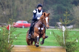 radolfzell-2013_cic1-070-jpg