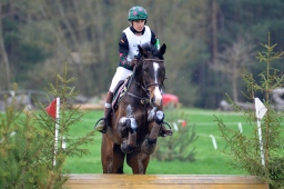 radolfzell-2013_cic1-071-jpg