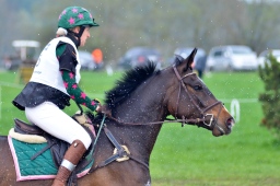 radolfzell-2013_cic1-072-jpg