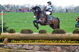 radolfzell-2013_cic1-074-jpg