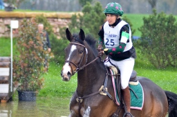 radolfzell-2013_cic1-075-jpg