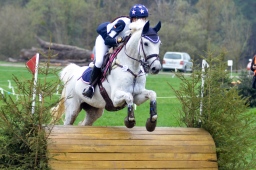 radolfzell-2013_cic1-077-jpg