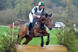 radolfzell-2013_cic1-085-jpg
