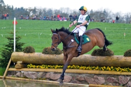 radolfzell-2013_cic1-086-jpg