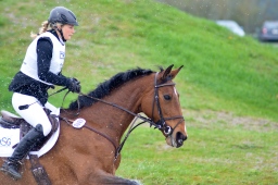 radolfzell-2013_cic1-095-jpg