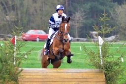 radolfzell-2013_cic1-099-jpg