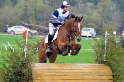 radolfzell-2013_cic1-100-jpg