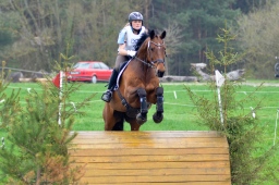 radolfzell-2013_cic1-107-jpg