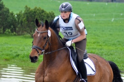 radolfzell-2013_cic1-110-jpg