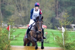 radolfzell-2013_cic1-112-jpg