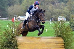 radolfzell-2013_cic1-113-jpg