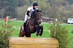 radolfzell-2013_cic1-118-jpg