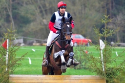 radolfzell-2013_cic1-121-jpg