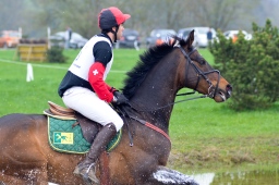 radolfzell-2013_cic1-122-jpg