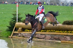 radolfzell-2013_cic1-123-jpg