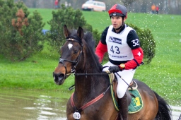 radolfzell-2013_cic1-124-jpg