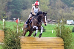 radolfzell-2013_cic1-126-jpg