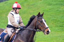radolfzell-2013_cic1-127-jpg