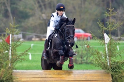 radolfzell-2013_cic1-129-jpg