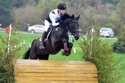 radolfzell-2013_cic1-130-jpg