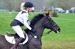 radolfzell-2013_cic1-131-jpg