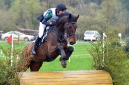 radolfzell-2013_cic1-136-jpg