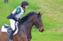 radolfzell-2013_cic1-137-jpg