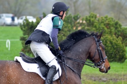 radolfzell-2013_cic1-138-jpg