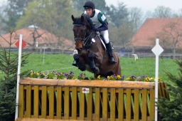 radolfzell-2013_cic1-139-jpg
