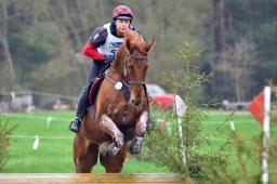 radolfzell-2013_cic1-142-jpg