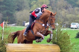 radolfzell-2013_cic1-143-jpg