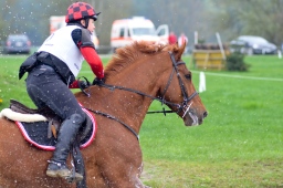 radolfzell-2013_cic1-144-jpg