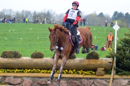 radolfzell-2013_cic1-147-jpg