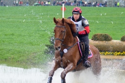 radolfzell-2013_cic1-148-jpg