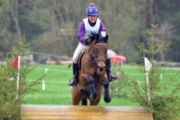 radolfzell-2013_cic1-149-jpg