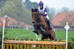 radolfzell-2013_cic1-151-jpg