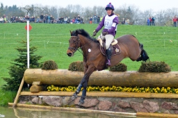 radolfzell-2013_cic1-152-jpg