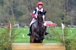 radolfzell-2013_cic1-154-jpg