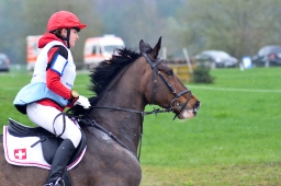 radolfzell-2013_cic1-155-jpg
