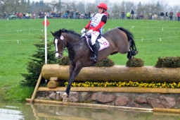 radolfzell-2013_cic1-156-jpg