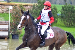 radolfzell-2013_cic1-157-jpg