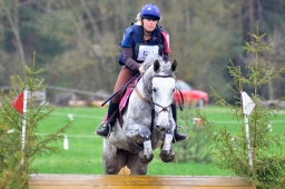 radolfzell-2013_cic1-158-jpg