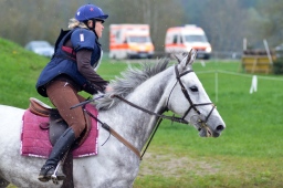 radolfzell-2013_cic1-159-jpg
