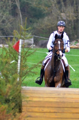 radolfzell-2013_cic1-162-jpg