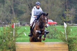 radolfzell-2013_cic1-163-jpg