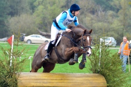 radolfzell-2013_cic1-168-jpg
