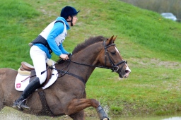 radolfzell-2013_cic1-169-jpg